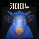 현대카메이크업