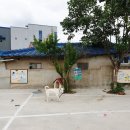 이가네참나무장작구이 이미지