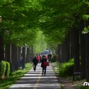 철길숲(학산동) 이미지