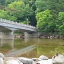 오대산타운 이미지