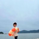 캐리어바웃