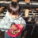 은솔어린이집 이미지