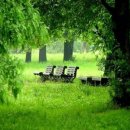 방이초등학교 내 이미지