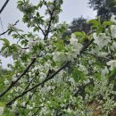 목천농장 이미지