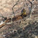 청우농장 이미지