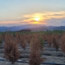 영해목장 이미지