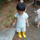 숲속예능어린이집 | 숲체험 어린이집 60일차｜매미를 관찰한 27개월 복덩이 육아일기 (생후27개월21일)