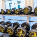 크레이짐 이미지