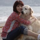 강아지와 나 이미지