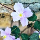 충렬사역 1번출구 이미지