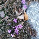 서울축산업협동조합 사료사업본부 이미지