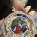 아란농장 | Day. 4 아일랜드 빈티지커피 아사이볼/스투시 오픈런/돌 파인애플 농장/샥스코브/카할라 호텔/아란치노