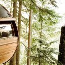 트리하우스 이미지