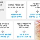 훌랄라 피자