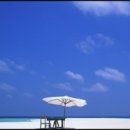 늘 좋은생각 이미지