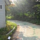 아우내펜션