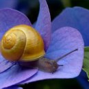 바람결 작은집 이미지