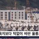 후포식자재마트 | 3박 4일 울릉도 여행 경비, 1인 100만원 넘는 이유