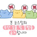 (주)오빠여행사