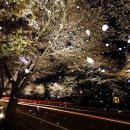 청풍면사무소 앞 이미지