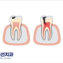 중앙동174 이미지