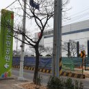 포승공단주유소 Daum카페