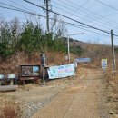 영 농장 이미지