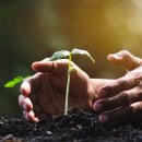 농업회사법인 주식회사 진오 이미지