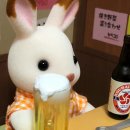 쩔쩔매지 말고 어쩔어쩔로 사세요!