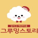 그루밍펫살롱 이미지
