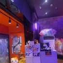 짱게임장 이미지