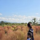 만평역(지상철3호선) 이미지