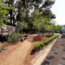 효돈초등학교 이미지