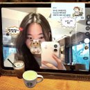 마로니에 | 혜화역 [스타벅스 마로니에점] 카공 후기 🪴 스벅 디어20 40% 할인 방법 정리