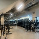 마이트짐 이미지