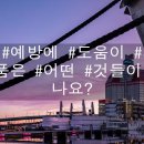 감귤나라앞 1 이미지