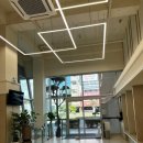 더블리스동물의료센터 이미지