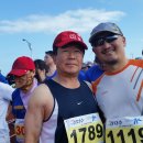 서사라 동물병원 이미지