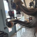 노브랜드 울산범서점 | 울산 굴화 미용실 추천 : 여성펌 잘하는 헤어르뽀렘 범서점 후기!
