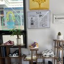 영남 명품세탁 이미지