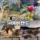 꿈꾸는 정원 | [에버랜드] 판다월드, 무민, 나비의 꿈꾸는 정원 방문 후기, 대기 시간
