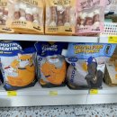 은평애견 이미지