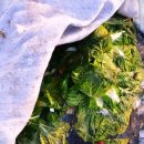 동해-단속-07 이미지