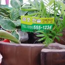 호평부동산  공인중개사사무소 이미지