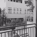 윤슬이네 이미지