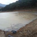 동명중고등학교