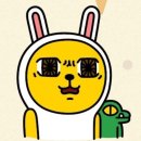 파이인더샵