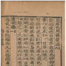 홍역 치료서. 마진편 발반삼조(發癍三朝) : 발진 시기의 처방들 이미지