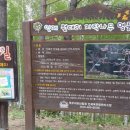 자작나무힐