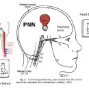 더드림한의원 이미지